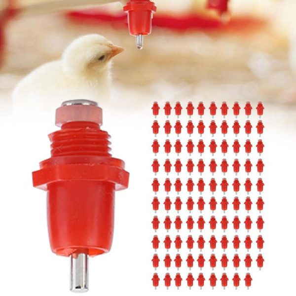 Animals & Insects |   100Pcs Poultry Screwnippler Waterer Chicken Automatic Water Feeder Drinker Animals & Insects Animals & Insects