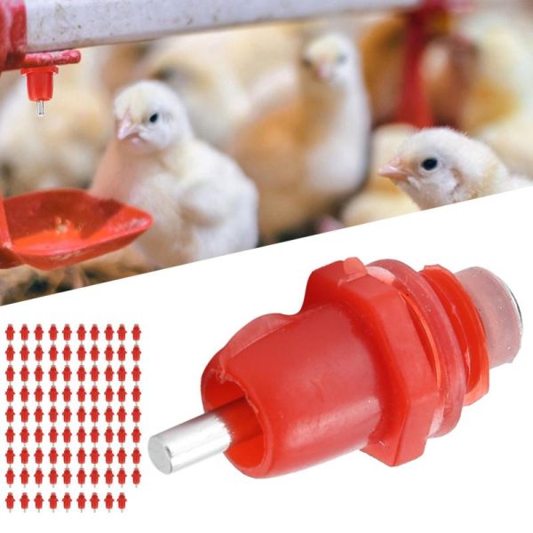 Animals & Insects |   100Pcs Poultry Screwnippler Waterer Chicken Automatic Water Feeder Drinker Animals & Insects Animals & Insects