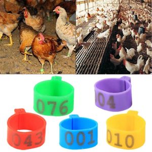 Animals & Insects |   100X 16Mm Clip On Leg Band Rings For Chickens Ducks Hens Poultry Large Fowl Animals & Insects Animals & Insects