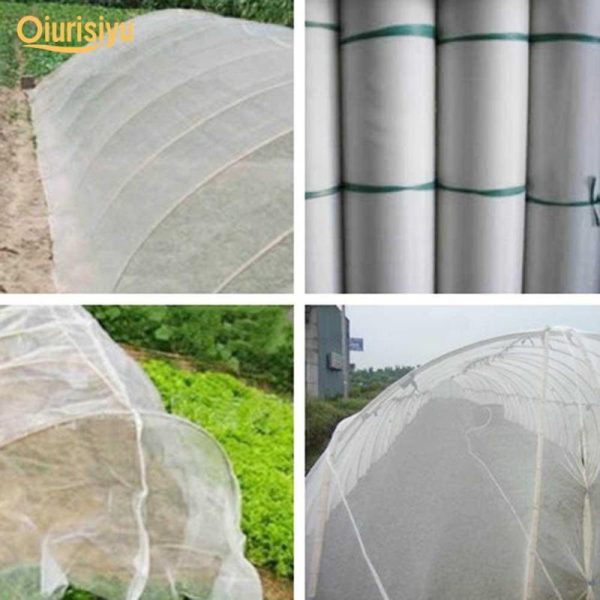 Animals & Insects |   Anti Bug Insect Bird Mesh Net Animals & Insects Animals & Insects