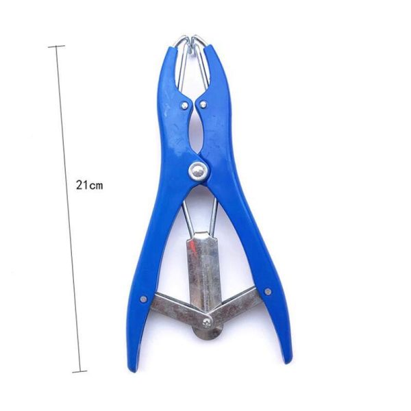 Animals & Insects |   Broken Tail Pliers High Elastic Tendon Castration Rings Farm Animal Cattle Supplies Animals & Insects Animals & Insects