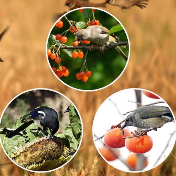 Animals & Insects |   Garden Light Warning Outdoor Ultrasonic Animal Repellents Bird Repeller Solar Powered Waterproof Animals & Insects Animals & Insects