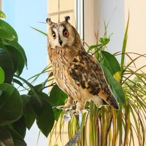 Animals & Insects |   Rectangle Fake Bird Scare Device With Bells Bird Repeller Bird Repel Owl Scarecrow  Patio Animals & Insects Animals & Insects