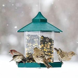 Birds |   1 Set Bird Feeder Large Capacity Convenient Transparent House Shape Bird Hanging Food Container Home Supplies Birds Birds