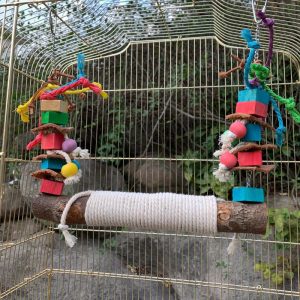 Birds |   Bird Swing Perch For Birds Chewing Toy Parrot Chew Toy Bird Cage Hanging Training Toy Accessories Birds Birds