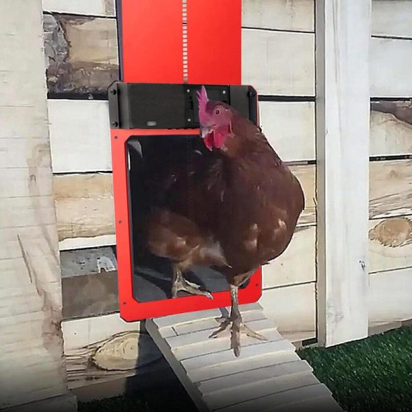 Birds |   (Camping Tools)Automatic Chicken Coop Door Light-Sensitive Automatic Chicken House Door Birds Birds