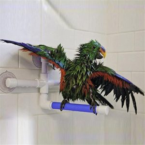 Birds |   Folding Parrot Bird Toy Bath Shower Platform Rack Parrot Standing Shower Perch Parakeet Birds Birds