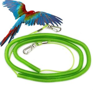 Birds |   Jiujiu 8# Outdoor Flying Elastic Rope For Parrot Birds Training Random Color Birds Birds