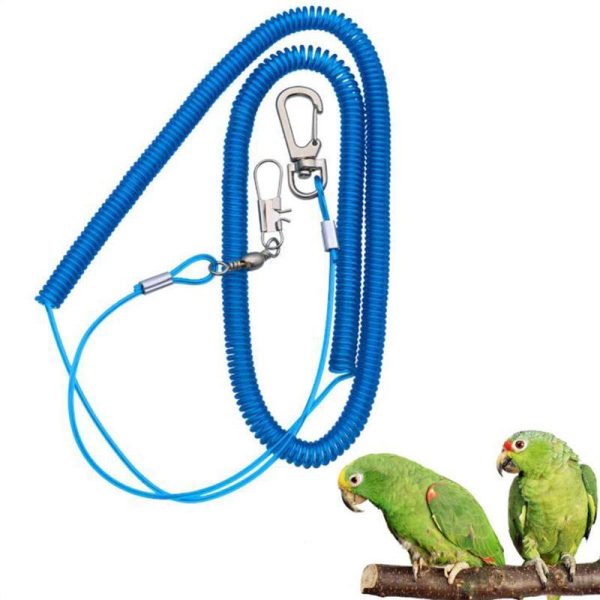 Birds |   Jiujiu 8# Outdoor Flying Elastic Rope For Parrot Birds Training Random Color Birds Birds