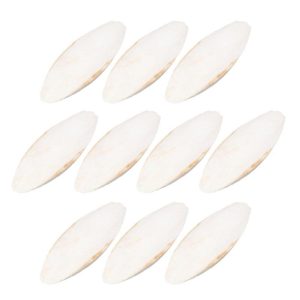 Birds |   Natural Cuddle Bone Parrot Chew Toys Chewing Cuttlefish Bone Bird Cuttlebone Birds Birds