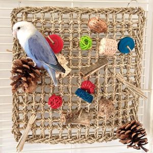 Birds |   Parrot Activity Wall Toys With Colorful Chewing Toys Handmade Natural Grass Woven Mat Pet Supplies Birds Birds