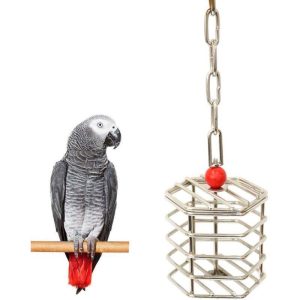 Birds |   Stainless Steel Parrot Foraging Feeder Unique Parrot Bird Cage Hanging Feeder Parrot Hanging Foraging Toys (Foraging Feeder) Birds Birds