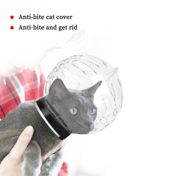 Cats |   Bath Grooming Grooming Mask Cat  Muzzle Cat Accessories Anti-Licking Anti-Bite Breathable Protective Space Hood Cats Cats