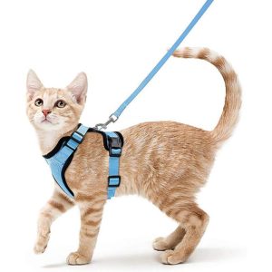 Cats |   Cat Harness Lightweight Breathable Adjustable Escape Proof Chest Strap With Quick Release Buckle Pet Cats Cats