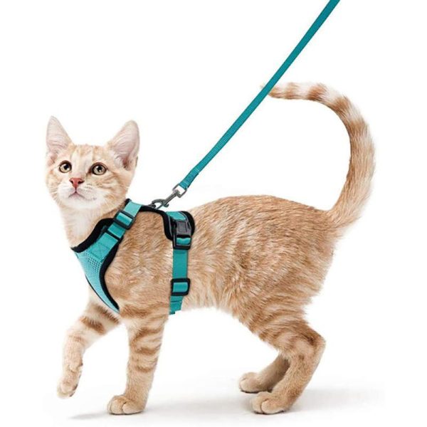 Cats |   Cat Harness Lightweight Breathable Adjustable Escape Proof Chest Strap With Quick Release Buckle Pet Cats Cats