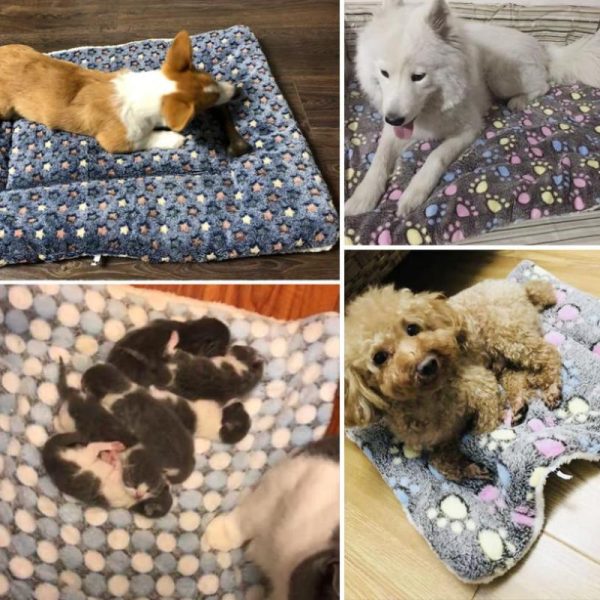 Cats |   Soft Flannel Thickened Pet Fleece Pad Bed Mat Blanket For Puppy Dog Cat Warm Sleeping Pad Cats Cats