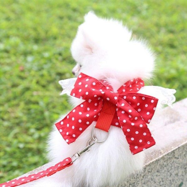 Dogs |   Dog Bowknot Harness Set Cute Kitten Harness And Leash Set For Small Medium Dogs Cat Chihuahua Lace Print Fashion Party Vest Dogs Dogs