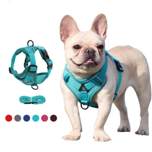 Dogs |   Dog Leash Vest Chest Strap Reflective Breathable Cat Leash Dog Leash Dogs Dogs