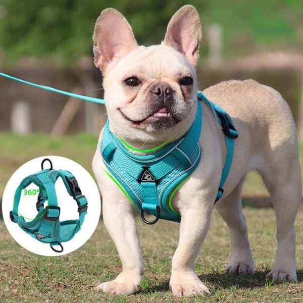 Dogs |   Dog Leash Vest Chest Strap Reflective Breathable Cat Leash Dog Leash Dogs Dogs