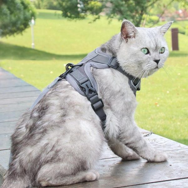 Dogs |   Dog Leash Vest Chest Strap Reflective Breathable Cat Leash Dog Leash Dogs Dogs