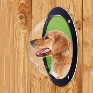 Dogs |   Dog Porthole Window Round Transparent For Fence Pet Peek Look Out Durable Dome Dogs Dogs