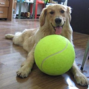 Dogs |   Giant 24cm  Dog Tennis Ball Large Pet Ball Toys Funny Outdoor Sports Dog Ball Gift Dog Toy Pet Toy Oversized Tennis Dogs Dogs