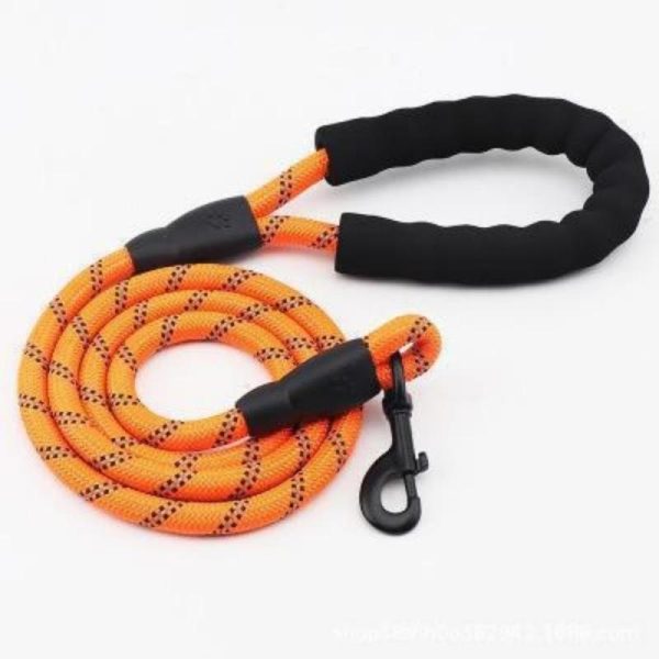 Dogs |   New Durable Ultra Long Nylon Reflective Dog Fur Pet Training Fur Medium To Large Dog Running Tracking Climbing Rope Dogs Dogs