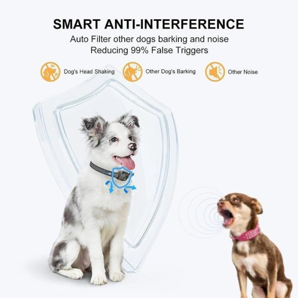 Dogs |   Smart Dog Training Anti Bark Collar Adjustable Sensitivity Smart Anti Barking Collar Vibration Shock Modes For Small/Medium/Large Dogs Dogs Dogs