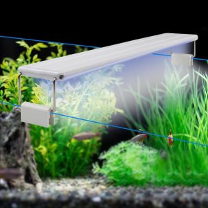 Fish & Aquatic Pets |   Led Aquarium Light Clip-On Fish Tank Light Aquatic Plants Grow Light 10W/15W/20W/25W Aquatic Freshwater Waterproof Lamp Eu Plug Fish & Aquatic Pets Fish & Aquatic Pets