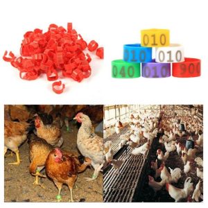 For Farm Animals |   100Pcs 001-100 Numbered Poultry Chickens Ducks Leg Bands Rings Birds Tools Animals & Insects Animals & Insects