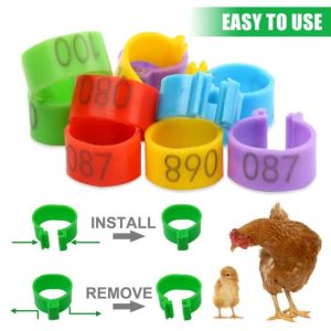 For Farm Animals |   100Pcs Chicken Leg Bands Bright Color Ultralight Simple Installation Poultry Duck Identification Foot Rings Farm Supplies Animals & Insects Animals & Insects