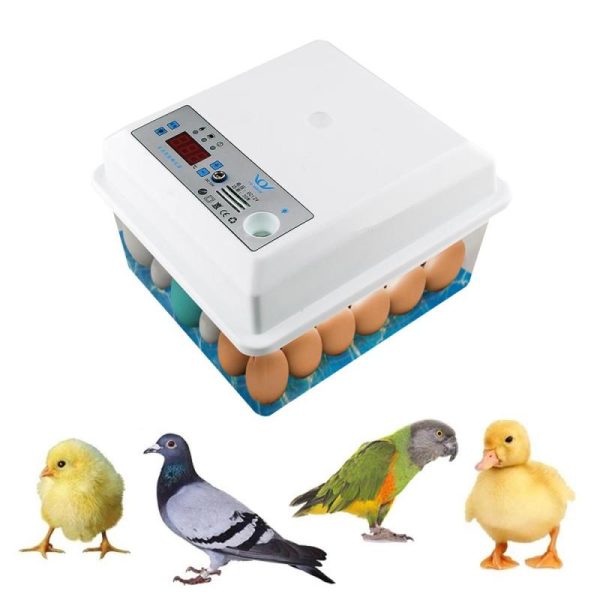 For Farm Animals |   20 Eggs Incubator Brooder Bird Quail Chick Hatchery Incubator Poultry Hatcher Turner Automatic Temperature Control 220V For Farm Animals Birds