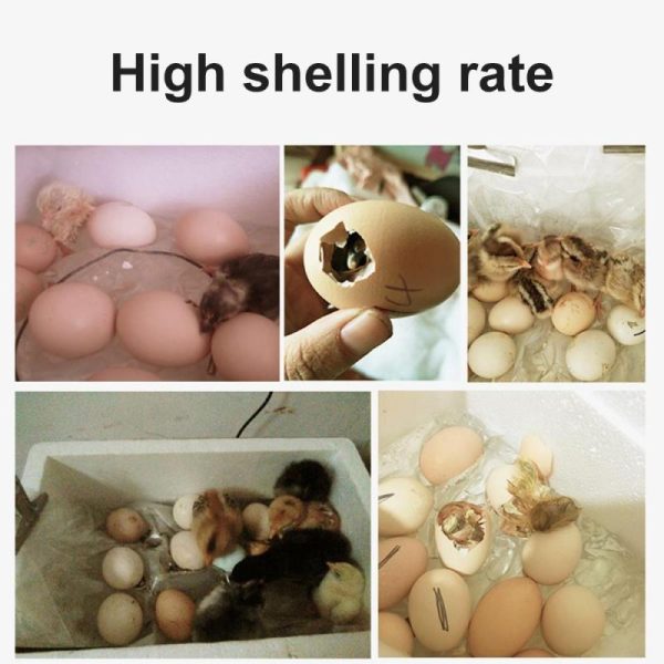 For Farm Animals |   20 Eggs Incubator Brooder Bird Quail Chick Hatchery Incubator Poultry Hatcher Turner Automatic Temperature Control 220V For Farm Animals Birds