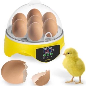 For Farm Animals |   7 Eggs Chicken Bird Incubator Eggs Hatching Machine Automatic Intelligent Temperature Control Quail Parrot Brooder Farm Supplies Birds Animals & Insects