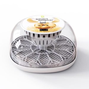 For Farm Animals |   Egg Incubator For Hatching With Automatic Egg Turning Led Egg Test Lamp Clear Lid Easy To Wash 12 Animals & Insects Animals & Insects