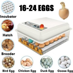 For Farm Animals |   Upgraded Automatic Household 16-24 Eggs Incubator For Peacock Duck Goose Egg Quail Chicken Incubator Hatcher Brooder Animals & Insects Animals & Insects