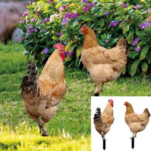 Green & Landscaping |   2Pcs Garden Stakes Acrylic Rooster Sculpture Hand-Painted Garden Figures Hen Garden Stakes Decorative Chicken Sculpture For Green & Landscaping Green & Landscaping