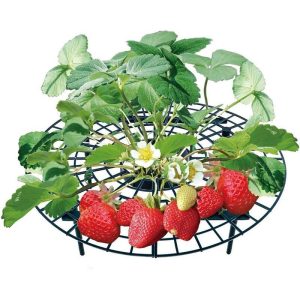 Green & Landscaping |   5/10/20 Pcs Strawberry Stand Balcony Planting Rack Fruit Support Plant Flower Climbing Vine Gardening Stand Green & Landscaping Green & Landscaping