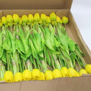 Home Decor |   Luxury Silicone Real Touch Tulips Bouquet Decorative Artificial Flower Home Decoration Home & Kitchen Home Decor