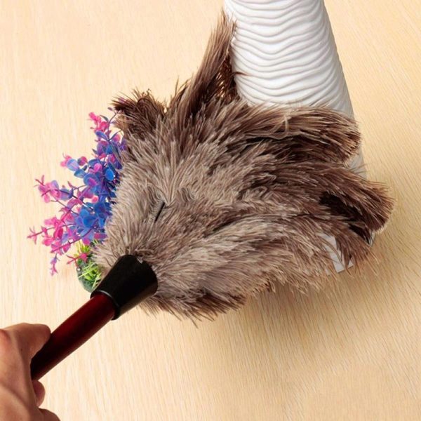 Household Supplies |   Anti-Static Ostrich Feather Fur Brush Duster Dust Cleaning Tool Wooden Handle Home & Kitchen Household Supplies