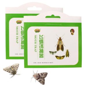 Household Supplies |   Pest Reject Fly Insects Super Sticky Sticky Glue Trap 5Pcs Moth Pheromone Trap Clothes Pantry Food Moths Pheromone Killer Home & Kitchen Household Supplies