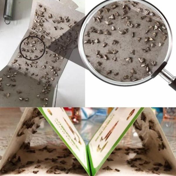 Household Supplies |   Pest Reject Fly Insects Super Sticky Sticky Glue Trap 5Pcs Moth Pheromone Trap Clothes Pantry Food Moths Pheromone Killer Home & Kitchen Household Supplies