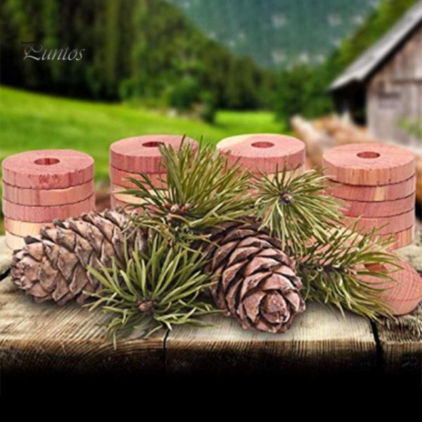 Household Supplies |   Puntos 20Pcs Wardrobe Drawer Air Fresher Moth Repellent Mini Round Cedar Wood Blocks Home & Kitchen Household Supplies