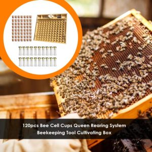 Insects |   120Pcs Bee Cell Cups Queen Rearing System Beekeeping Tool Cultivating Box Insects Insects