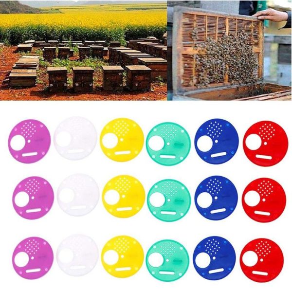 Insects |   20Pc Plastic Bee  Door / Entrance Disc / Bee Hive Nuc Box Entrance Gate Tool Insects Insects