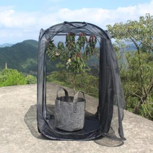 Insects |   Collapsible Insect Cage Foldable Polyester Perfect Incubator Butterfly Cage For Home Insects Insects