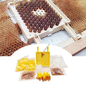 Insects |   Germany Jenter Queen Rearing Kit Nicot Bee Queens Rearing System Queen Bee Larva Move Cage Goods Tool For Beekeeper Supplies Insects Insects