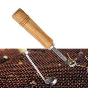 Insects |   No-Graft Queen Rearing Kit Comb Foundation Cutter For Queen Bee Rearing Insects Insects