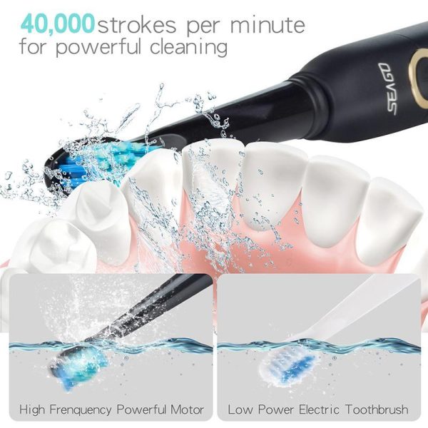 Oral Care |   Seago Sonic Electric Toothbrush Sg-507 Adult Timer Brush 5 Mode Usb Charger Rechargeable Tooth Brush Health Oral Care