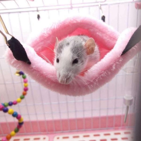 Rodents |   Hamster Hammock  Winter Warm Pet Hanging Bed  For Hamster Hammock Cave Cage Sleeping Bed Hamster Pet Supplies Rodents